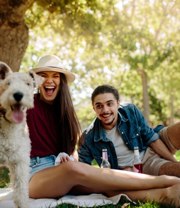 Springwood Park Apartments in Durham, NC
